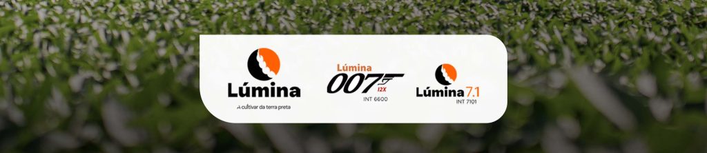 Cutivares de Soja da Lumina 2026 no catálogo da Verluz Sementes