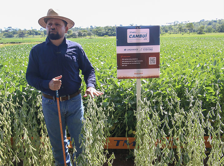 Cutivares de soja apresentadas no 5º dia de Campo da Verluz Sementes