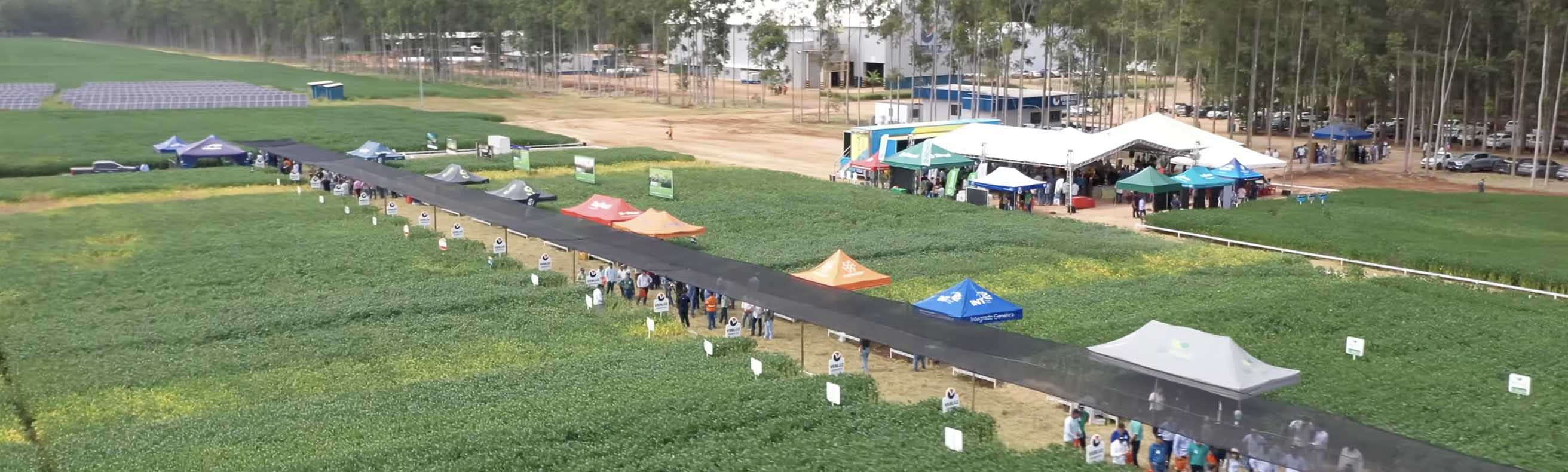 5º Dia de Campo da Verluz Sementes 2026