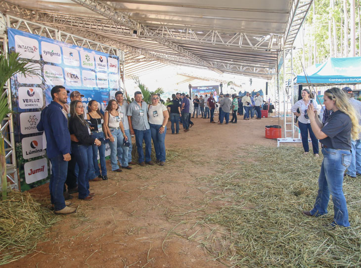 Painel de fotos no 5º dia de campo da Verluz Sementes
