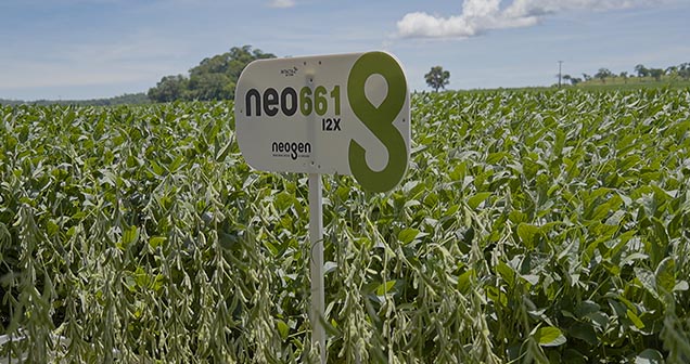 Neo661 - Neogen - Verluz Sementes