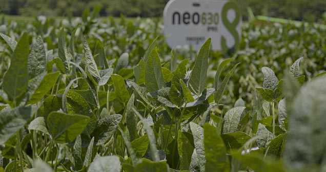 Neo630 - Neogen - Verluz Sementes