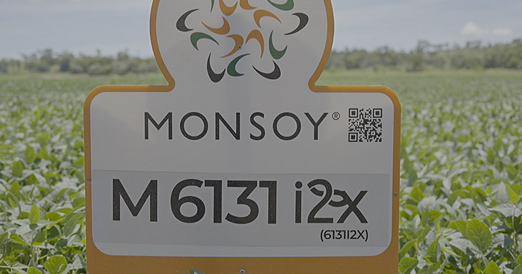 Monsoy M6131 I2X - Sementes Verluz