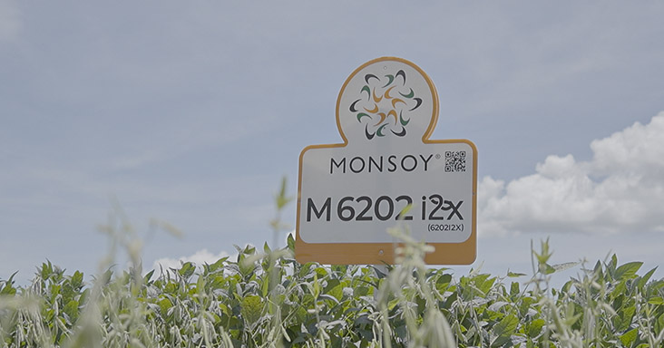 Monsoy M6202 I2X - Sementes Verluz