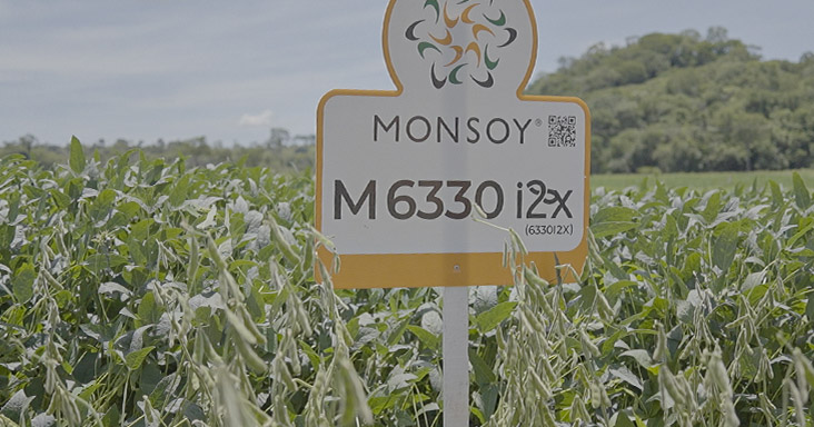 Semente Monsoy M6330 I2X - Verluz Sementes
