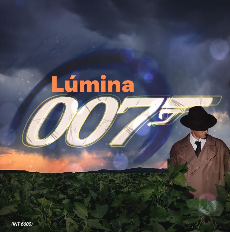Lúmina 007 I2x
