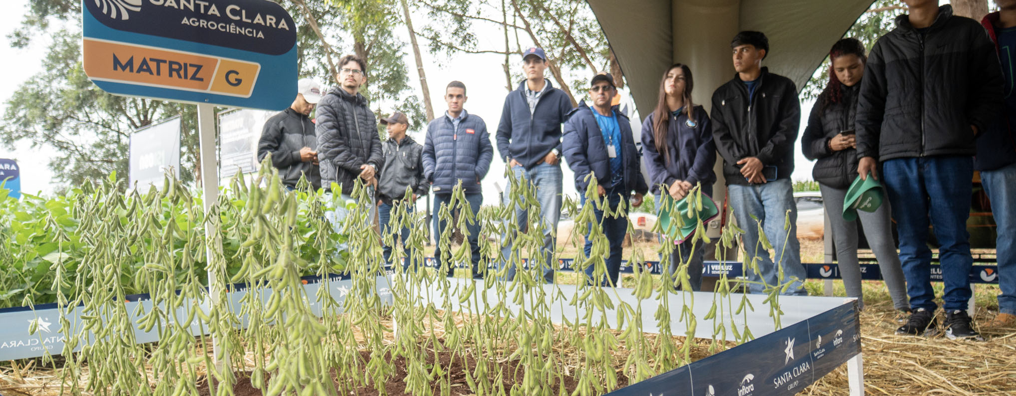 Representantes da Neogen, Santa Clara Agrociência, Syngenta Seedcare e Intacta Xtend participando do Esquadrão 99 no estande da Verluz durante a Showtec 2026.
