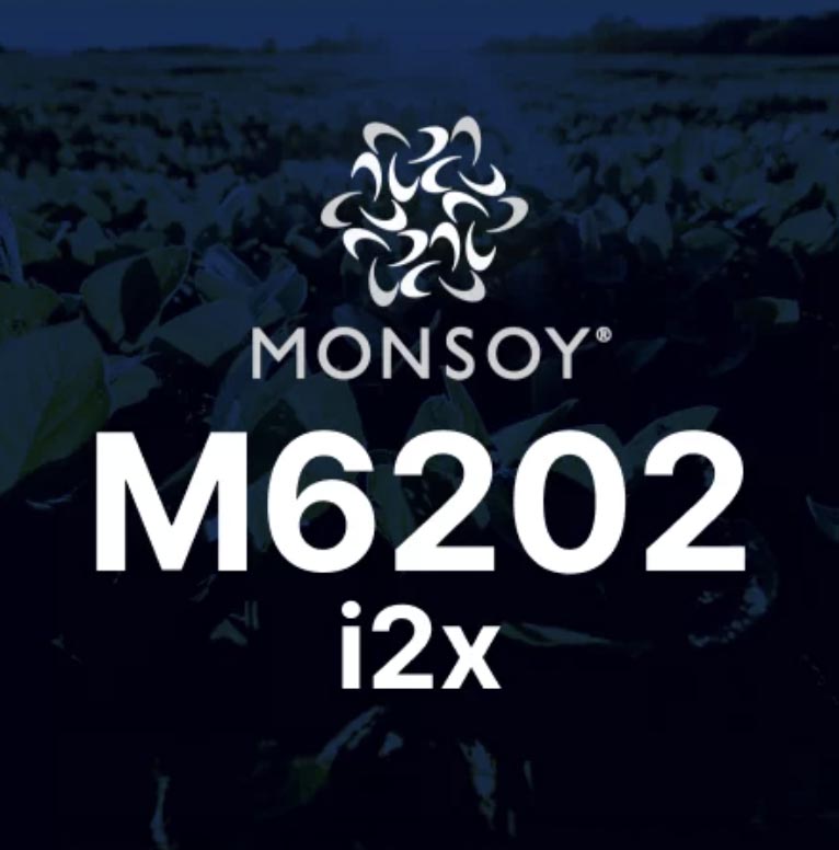 Monsoy M6202 i2x